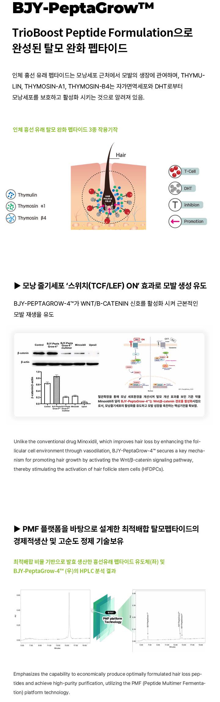 탈모펩타이드